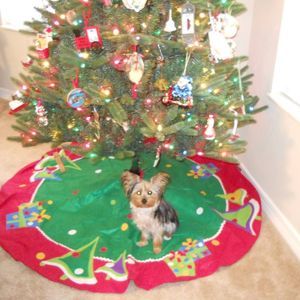 Meet your Posher, Coreen